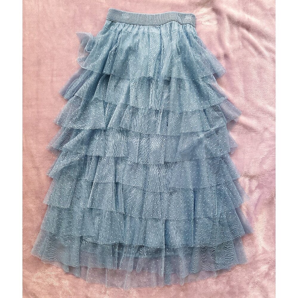 Anthropologie Ruffle Tulle Midi Lace Lined High Waisted Elastic